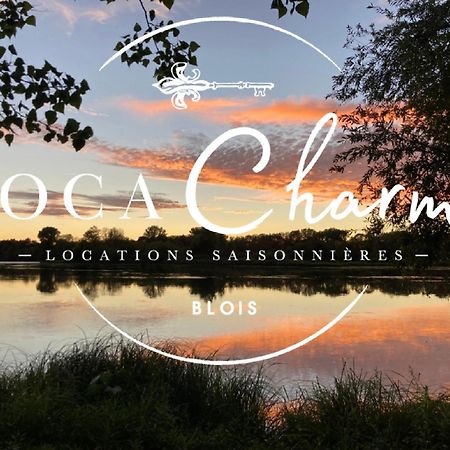 "Gite Les Futreaux" Vue Sur Loire & Linge Inclus 블루아 외부 사진